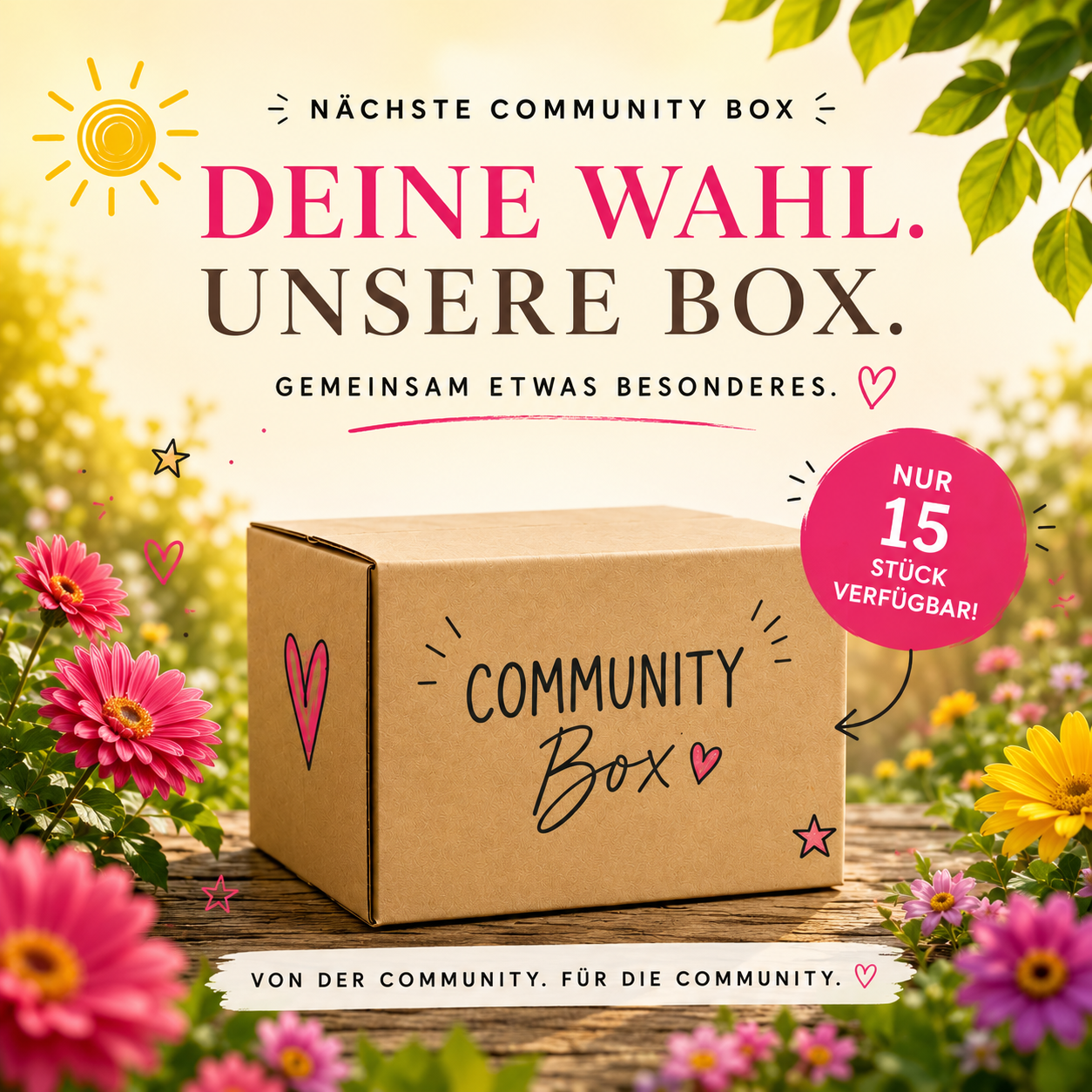 Community Box Juli