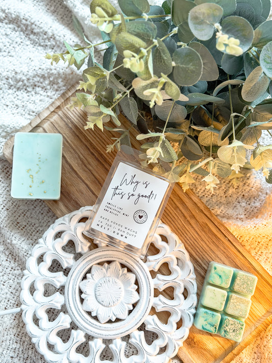 Why Is This So Good?! Duftwachs Snapbar