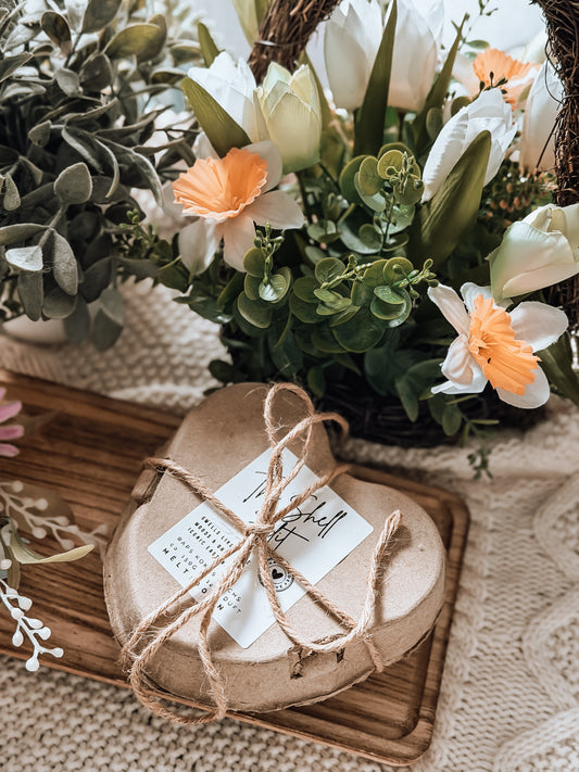 The Shell Edit - 3 Duftwachs Eier - Limited Edition