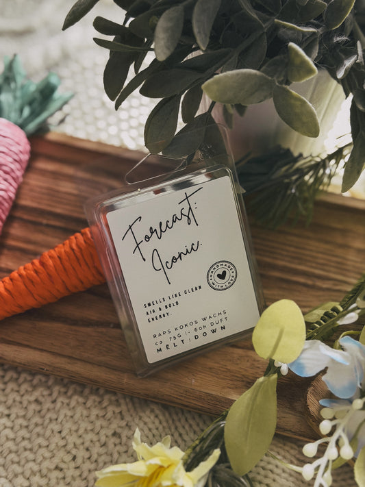 Forecast: Iconic. Duftwachs Snapbar