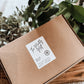 The Monthly Mëlt Box - Juli Edition