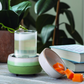 CANDLE WARMERS® 2 in1 Classic Duftlampe MATCHA LATTE creme/grün