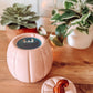Curly Pumpkin Pink – Stövchen für Duftwachs & Duftöl