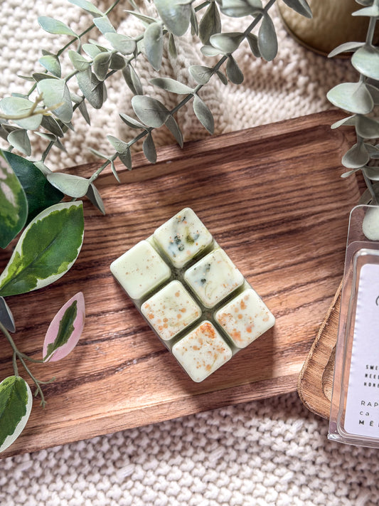 Pine Me Honey Duftwachs Snapbar